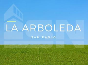 ISN-ISN-2644_2 · Lote. | San Pablo Rp 338