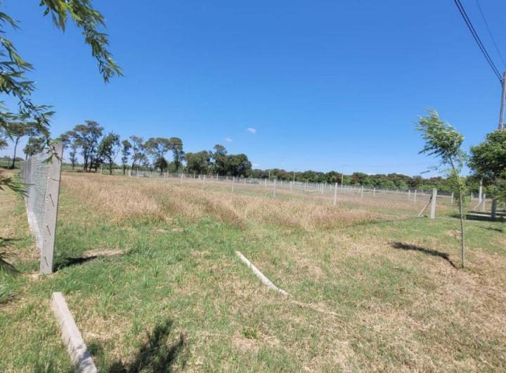 Terreno · 1000m²