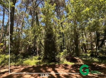 Terreno · 1256m² · Enebro y Tucan