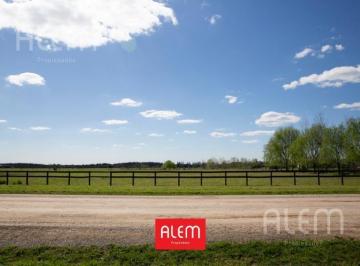 Terreno · 1522m² · Terreno en Venta en La Dolfina, Cañuelas