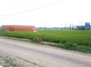 Terreno · 555m² · 3 Terrenos Baldíos en Venta