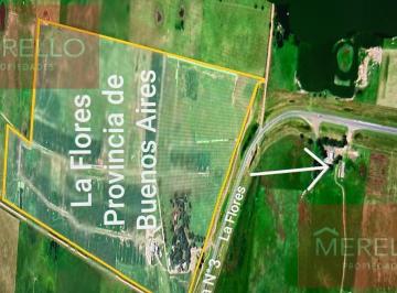 Campo · 1100000m² · Campo en Las Flores
