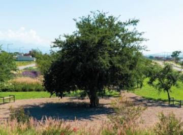 Terreno · 419m² · Venta Terreno Sendas Salta