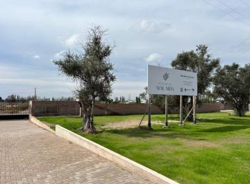 Terreno · 300m² · Lotes en Venta Mejores Valores en Barrio Privado Acacias de Malabia