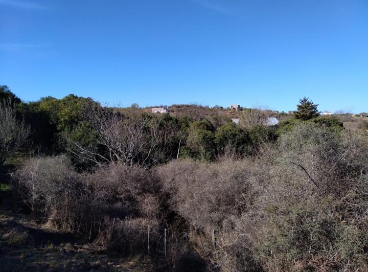 Terreno · 1000m²