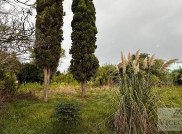 Terreno , Chascomús · Lote de Terreno 594 m². Avellaneda Entre Las Flores y Miramar. Chascomús, Buenos Aires.