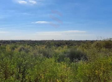 Campo , Cuadro Nacional · Campo en Venta con 114 Ha en Cuadro Nacional, San Rafael