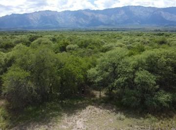 Campo · 116000m² · Villa de Las Rosas 11,6 Ha de Monte Nativo - con Escritura / Servicios. Traslasierra!