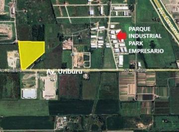 FUG-SPF-1019_2 · 67.117 m² Industriales Sobre Av Uriburu