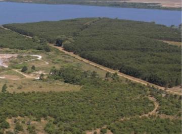 Campo · 50000m² · Venta Chacra 5 Hectáreas, Laguna del Sauce