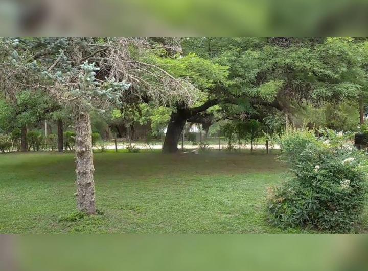 Terreno · 932m²