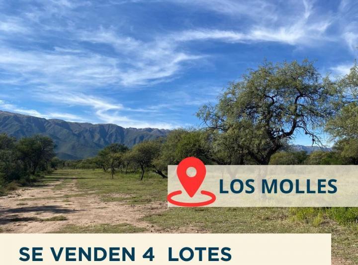 Terreno · 2500m²