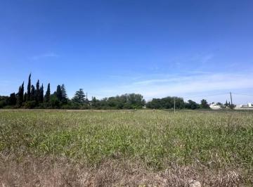 Terreno · Se Vende Terreno de 6000 m en Av Valparaiso