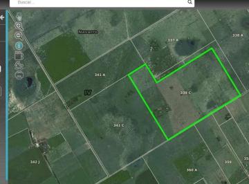Campo · 92m² · 3 Ambientes · Venta de Campo de 84.5 Ha - Navarro