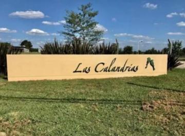 Terreno · 1352m² · Adg. Oportunidad! Lote con Proyecto en Las Calandrias