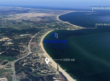 Foto1 · Terreno en Venta a Sólo 100 m del Mar en Zona de Chihuahua. Punta Ballena.