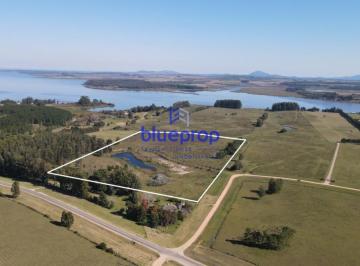 Foto1 · Chacra en Venta con Vistas a La Laguna del Sauce y Tajamar Propio.