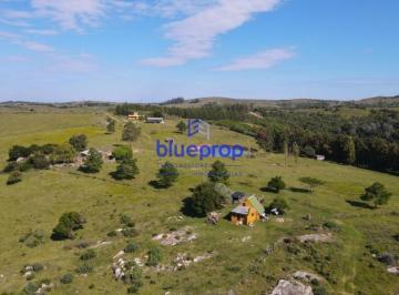Foto1 · Campo en Venta de 190 Has con Historica Calera y Olivos a Sólo 15 Km de Pueblo Eden.