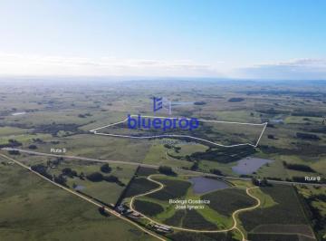 Foto1 · Campo en Venta de 161 Has en Localidad de José Ignacio, Maldonado.