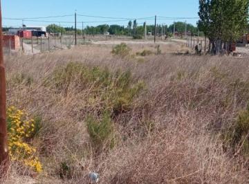 Terreno · 600m² · Terreno - Plottier