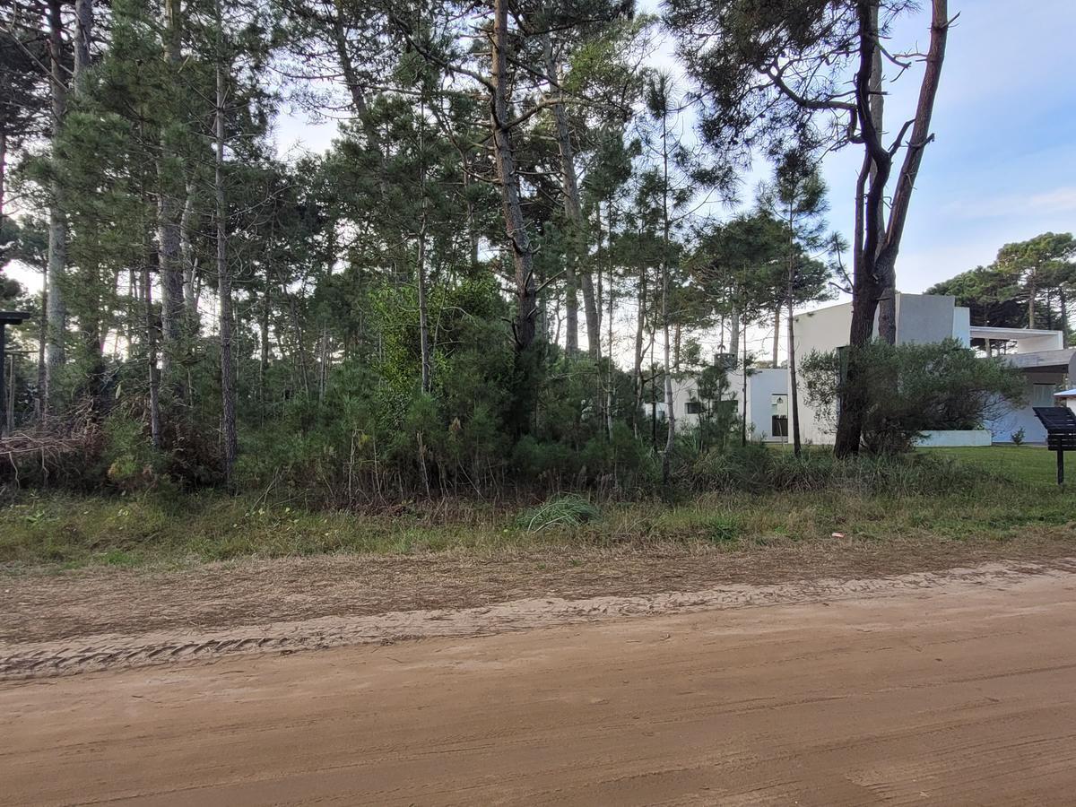 boulevard Alamos y La Ancla, Barrio Cerrado Pinamar Norte, Pinamar
