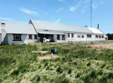 Bodega-Galpón · 1300m² · Nave Industrial en Ruta 226