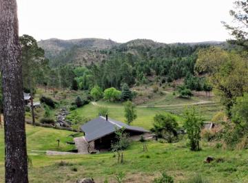 Campo · 10000000ha · Potrero de Garay: Una de Las Mejores Estancias de Cordoba!1000 Has 8 Cabañas Restaurant