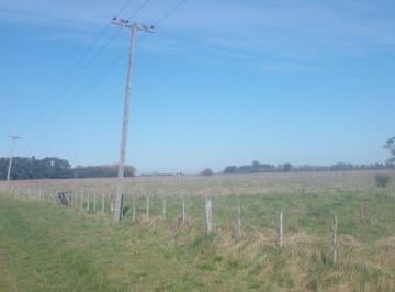 Campo , Baradero · Baradero, Campo de 20 Hectáreas.