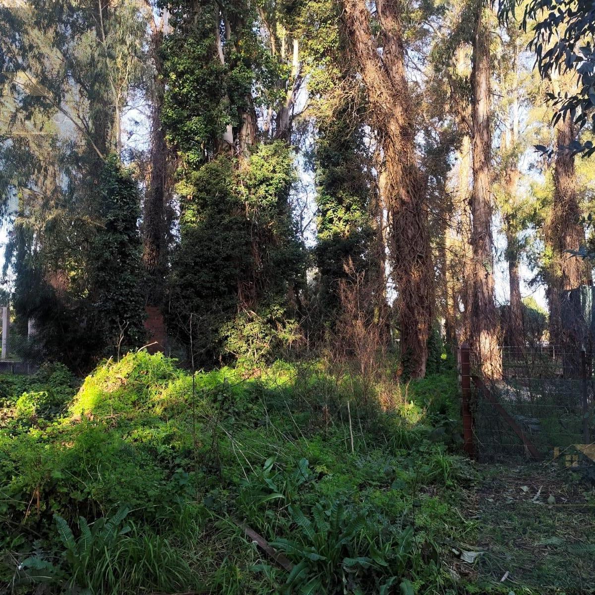 Lote en Venta – Bosque Peralta Ramos
