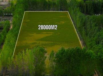 Campo , Senillosa · Venta 2,8 Hectáreas en Senillosa Frente Ruta 22