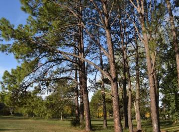 Terreno · 1750m² · Lotes en Venta, Club de Campo Amarylis, Exaltacion de La Cruz, Buenos Aires