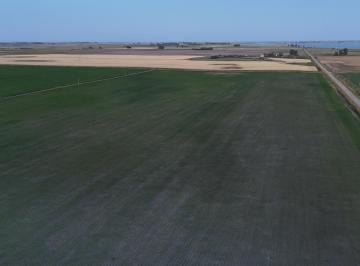 Campo · 760m² · 5 Ambientes · Venta Campo Pehaujo