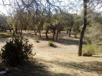 Terreno , La Paz · Vendo Lotes en La Paz – San Javier - Traslasierra