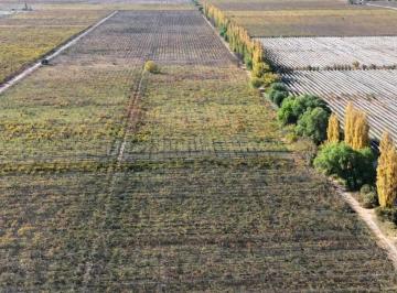 Campo · 150000m² · Venta de Finca 15 Has en Calle La Florida, Los Campamentos - Rivadavia