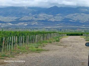 Campo · 275m² · Venta de Finca Única de 275 Has - en Tunuyan, Mendoza.