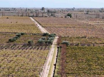 Campo · 630000m² · Venta de Finca 63 Has - El Espino, San Martin, Mendoza
