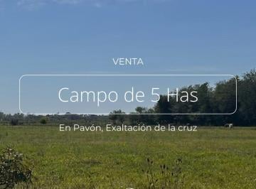 Campo · 200m² · 5 Ambientes · 5 Has en Venta, Pavon Cerca de Los Cardales