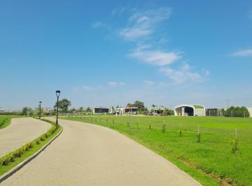 Terreno · 726m² · Terreno - Financiación - Developer Park - Bio3