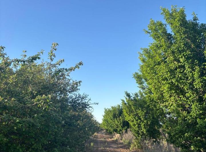 Terreno · 75700m²