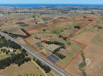 Campo · Campo de 60 Hectáreas Sobre Ruta 9