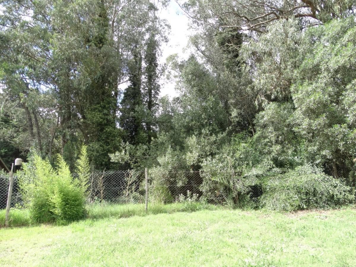 Lote de 740 m² en Colina Alegre, ideal para construcción