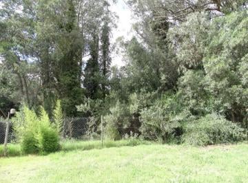 Terreno · 740m² · Venta Lote Colina Alegre