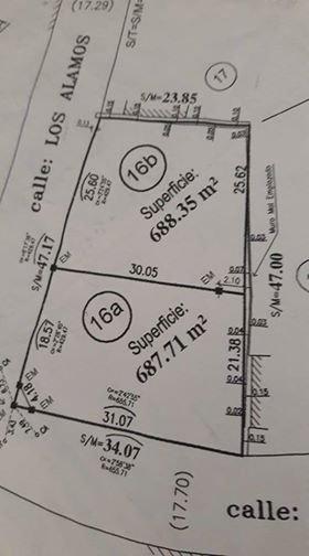 Lote en bosque alegre lote 1 687 m2