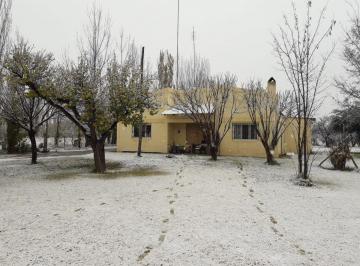 Campo , Otro · Finca de 7 Hectáreas en Jaime Prats, San Rafael, Mendoza – Usd 115.000 Posibilidad de Permuta