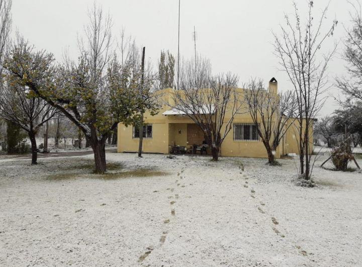 Campo · 200ha