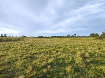Campo , Villa Elisa · Chacra de 5,5 Has con Excelente Ubicación en Venta