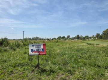 FAE-FAE-874_2 · Lote. | Los Aromos