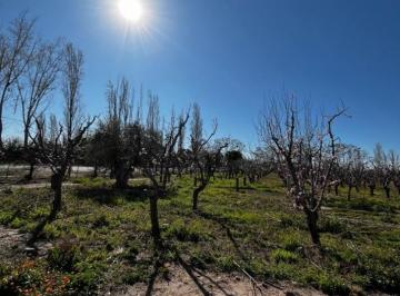 Quinta vacacional · 42024m² · Greenwood Vende Finca de 4 Ha.