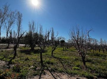 Quinta vacacional · 40000m² · Greenwood Vende Finca de 4 Ha.