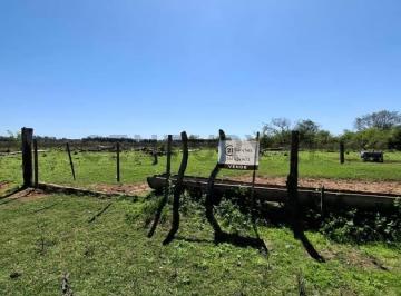 Campo · 560000m² · Venta - Campo Citrícola/hortícola - Ganadero - Bella Vista - Corrientes